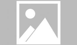 往期热点热门大瓜,那些让人瞠目结舌的“大瓜”事件回顾